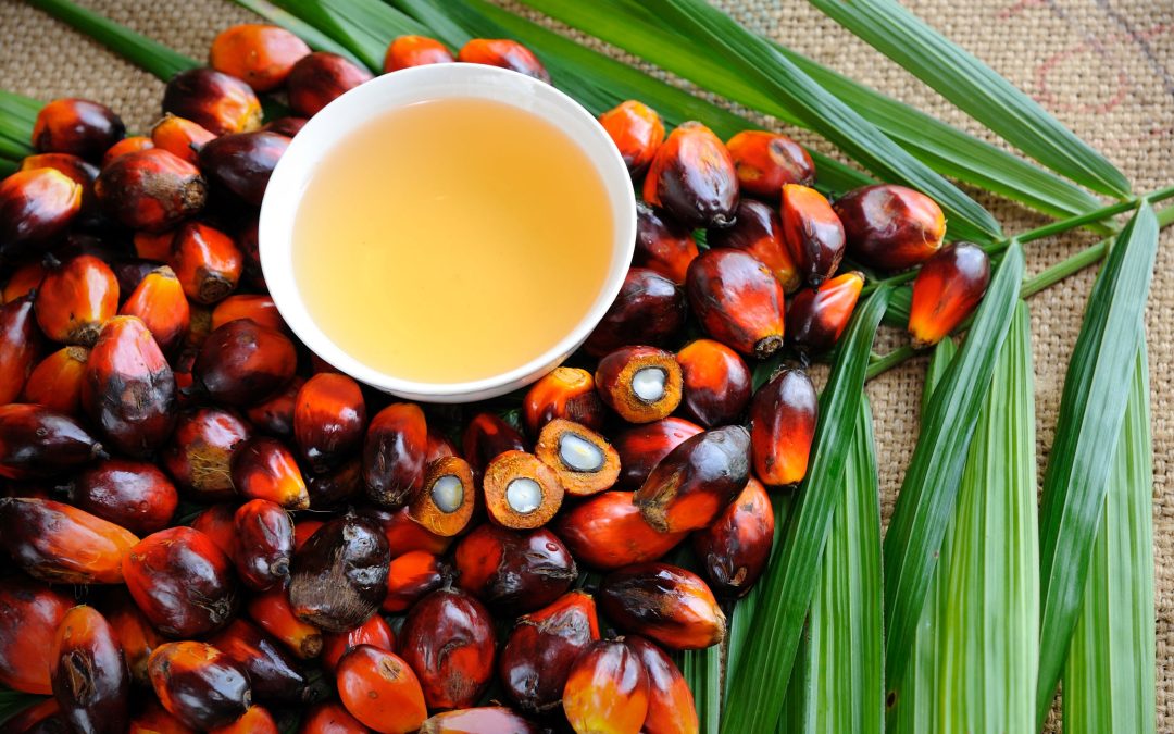 APEX Grants Blanket Approval On RSPO Certified Producers As Approved Suppliers, And APEX Crude Palm Oil Contract Seen Steady Growth Amid COVID-19